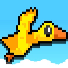 Activities of Duck Bird Flyer Game - don't hit the slide block