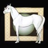 White Horse, Exning
