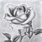 Caricature is an authentically digital drawing app for people who love to draw