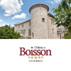 Château de Boisson
