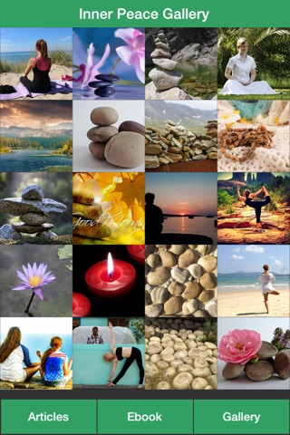 Zen Inner Peace - Create an Inner Peace Successfully! screenshot 2