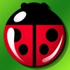 Ladybug Craze