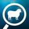 FlockFinder is an easy way to find information on New Zealand sheep breeders that utilises the powerful SIL genetic engine - the national genetic evaluation system for New Zealand sheep