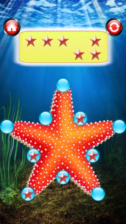 Star Fun Puzzle