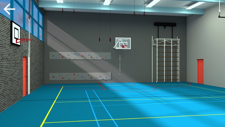 VR Sports