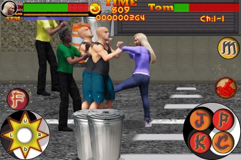 Kung Fu Flash:  Wing Chun Unleashed screenshot 2