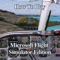 How To Play - Microsoft Flight Simulator Edition