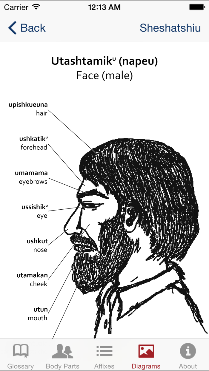Innu Medical Lexicon