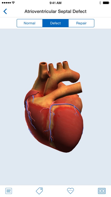 Heartpedia screenshot-4