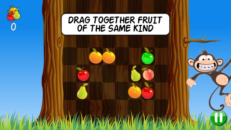 Fruity Monkey