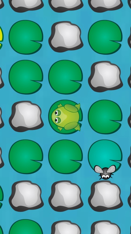 Lilypad Maze