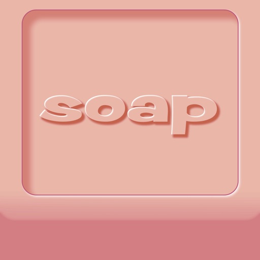 Don't Drop The Soap Icon