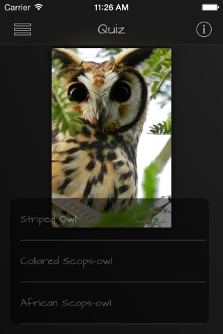 Owls Guide screenshot 4