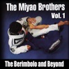 The Berimbolo and Beyond by Miyao Brothers Vol. 1