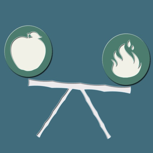 Calories Burned And Intake iOS App