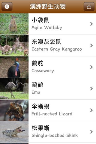 澳洲野生动物 Australian Wildlife screenshot 2