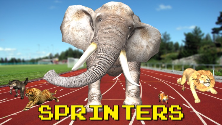 Sprinters screenshot-0