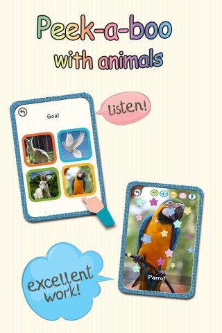 Animal Cards screenshot 4