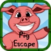 Pig Escape - Addictive Piggy Runner Game
