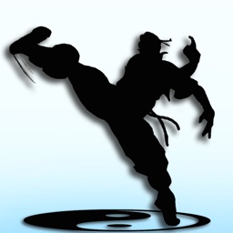 Kungfu Warriors 3D Free