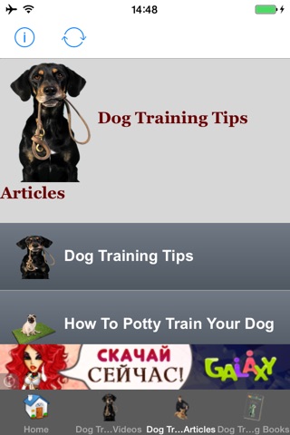 All Dog Training Tips and Tricks screenshot 3
