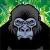 A Jungle Ape Zoo Escape - Crazy Forest Run