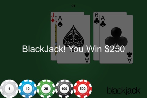 Casino Blackjack 21 screenshot 3