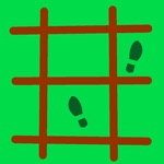 Agility Ladder
