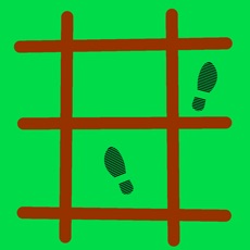Activities of Agility Ladder