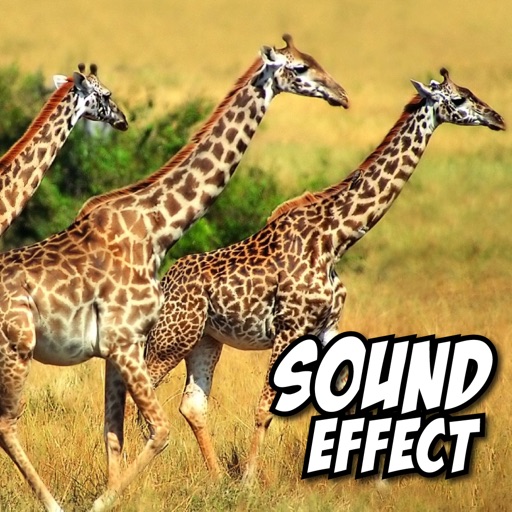 Animal Sounds Effect+ iOS App