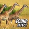 Animal Sounds Effect+