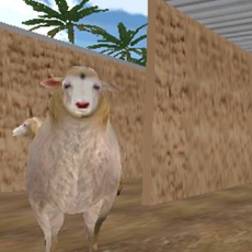 Activities of Sheeps Thief 3D