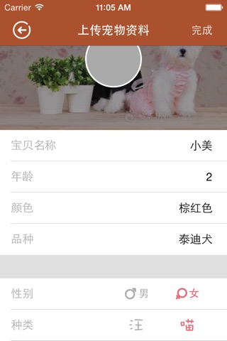 萌萌宠 screenshot 4