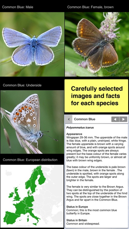 Butterfly ID Britain: A Guide to British Butterflies and Day-flying Moths from iSpiny