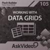 Course For Flash Builder 105 - Working With Data Grids