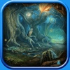 Adventure of Amazon Forest Hidden Objects