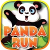 Panda Runs HD