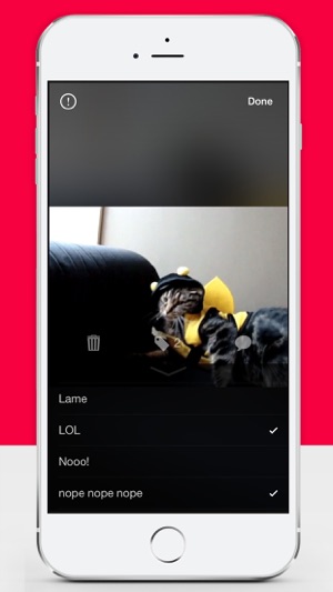 Gif Stash – Organize, View & Send Animated Gifs(圖2)-速報App