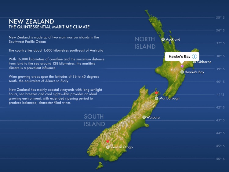 NZ Wine