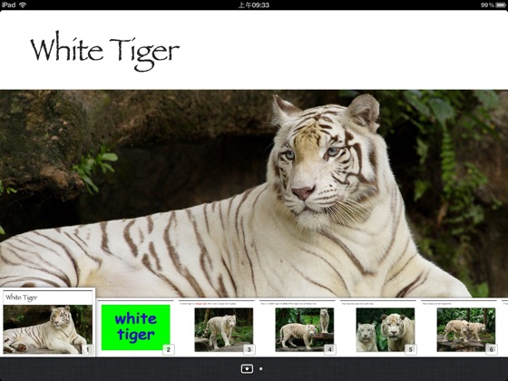 the white tiger book buy
