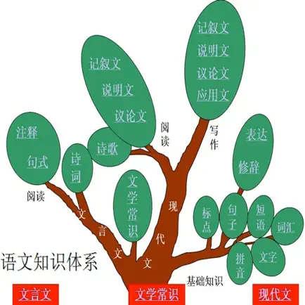 初中语文基础知识/作文/中考知识点大全 Читы