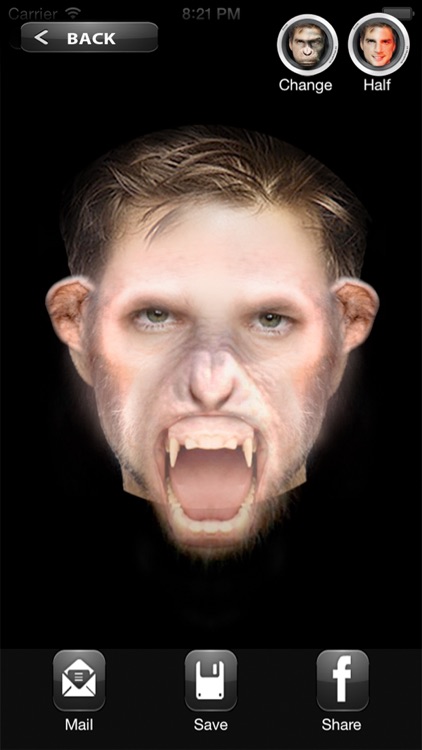 MonkeyBooth - Morphing faces into an ape, monkey or chimp