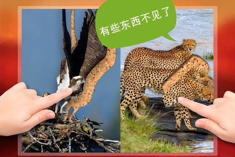 Play with Wildlife Safari Animals Jigsaw Game photo for toddlers and preschoolers screenshot 4