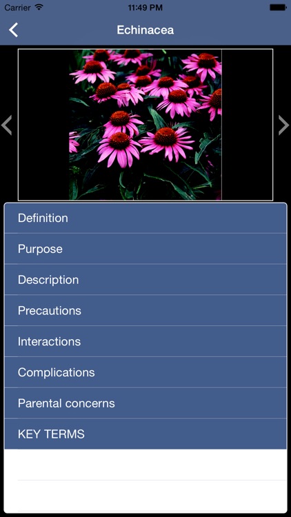 Diet: Health and Nutrition Pocket