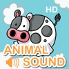 Animal Sound Finger Board