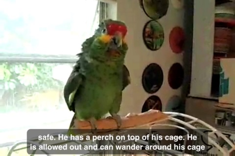 Parrot Care screenshot 3