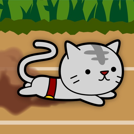 Cat Sliding Icon