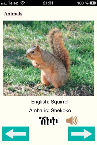 Animals Names in Amharic screenshot 3