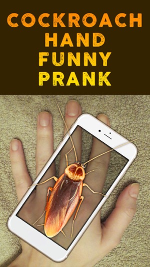 Cockroach Hand Funny Prank