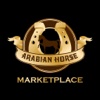 Arabian Horse Marketplace